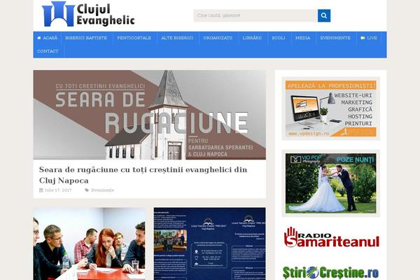 cluj theme websites examples