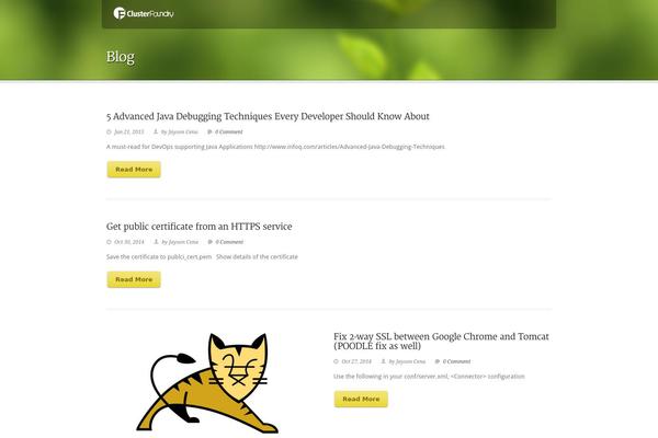 clusterfoundry.com site used Green Earth  V1-05