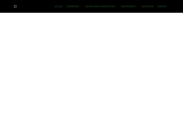 Site using Cws-svgicons plugin