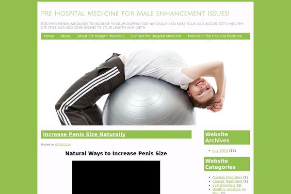 PersonalTrainer theme site design template sample