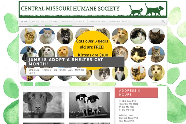 Animal_care_theme theme site design template sample