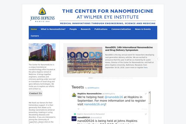 Wp Radiance 1.0.3 theme site design template sample