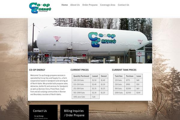 Orion theme site design template sample
