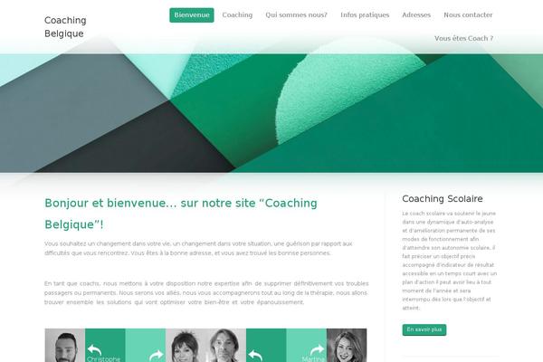 Site using Widgetize Pages Light plugin