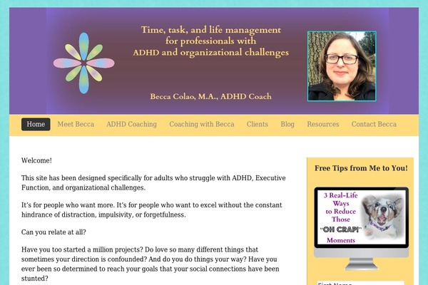 Basic theme site design template sample