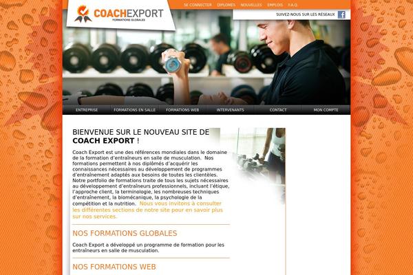 coachexport.com site used Coachexport