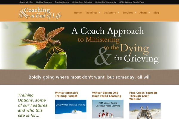 Whitelight theme site design template sample