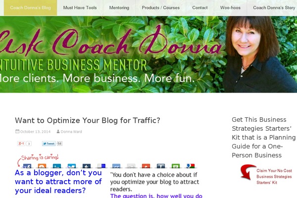 Site using Tweet This plugin