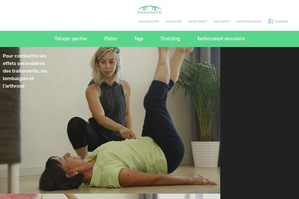 Shapely theme site design template sample