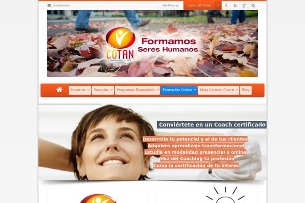 Envision theme site design template sample
