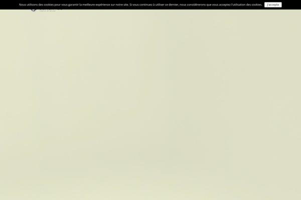 Site using Company-updates-for-linkedin plugin