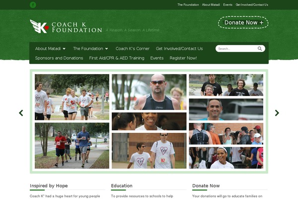 Relief theme site design template sample