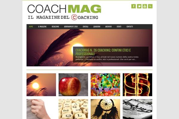 Magazino theme site design template sample
