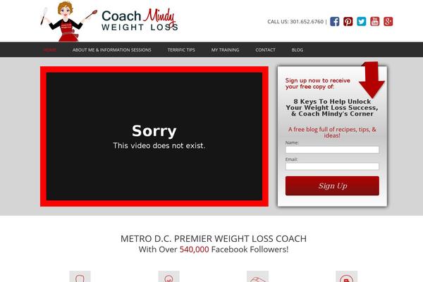 Maxcms_child theme site design template sample
