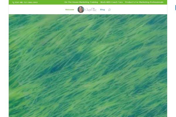 Ashe-pro-premium theme site design template sample