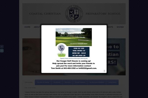 Site using Social Share Buttons by Supsystic plugin