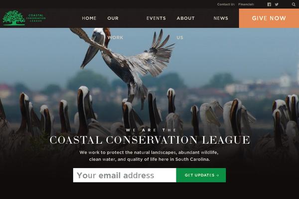 Wideeyecreative theme site design template sample