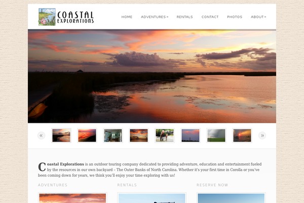 Dandelion theme site design template sample