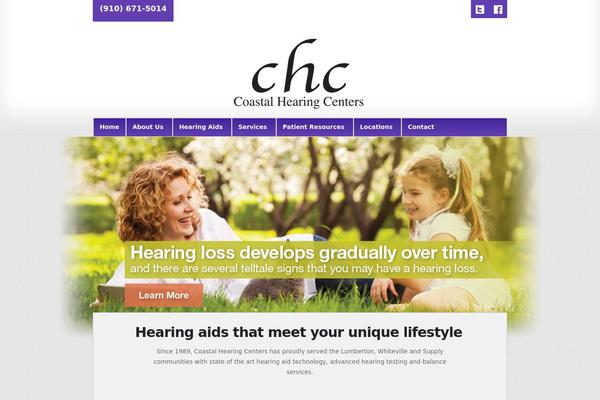 Audigy4 theme site design template sample