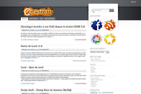 Site using Auto SyntaxHighlighter plugin