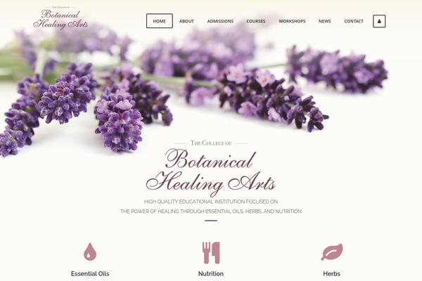 LMS theme site design template sample