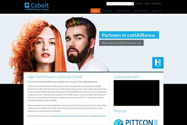 Site using Woocommerce-wootabs plugin