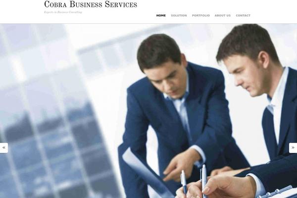 Agency Theme theme site design template sample