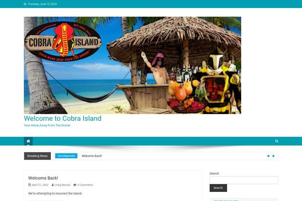 News Portal theme site design template sample