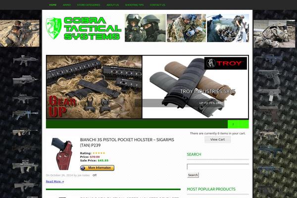 Triton theme site design template sample