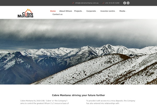 Bigwig theme site design template sample