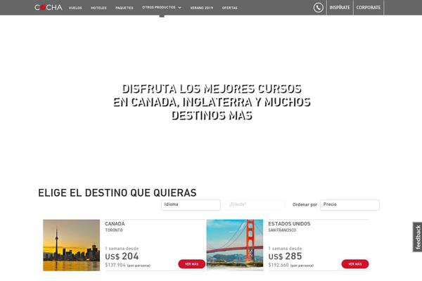 cochajoven.com site used Cochajoven