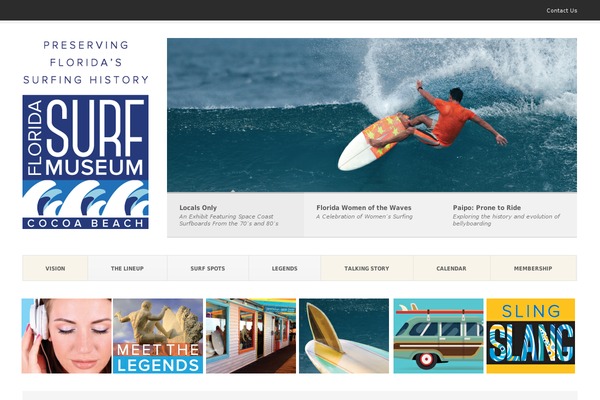 Pitch theme site design template sample