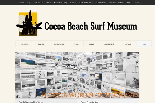 Pitch theme site design template sample