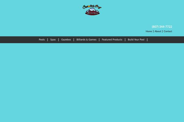 Salient theme site design template sample