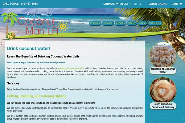 Coco theme site design template sample