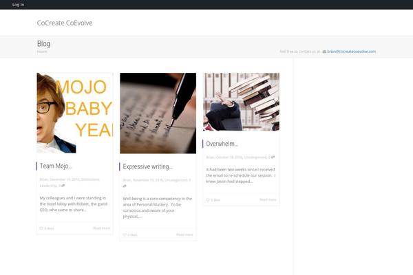 KLEO theme site design template sample