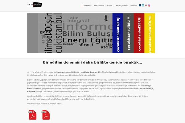 cocukistanbul.org site used Tint