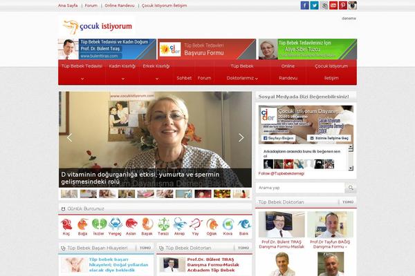 Safirwebportal theme site design template sample