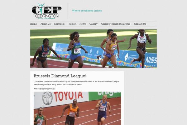 Website theme site design template sample