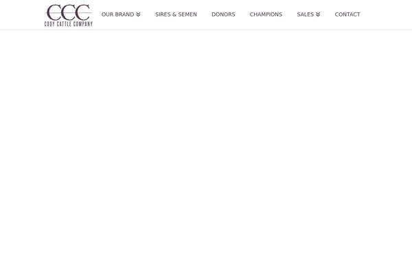 X Child theme site design template sample
