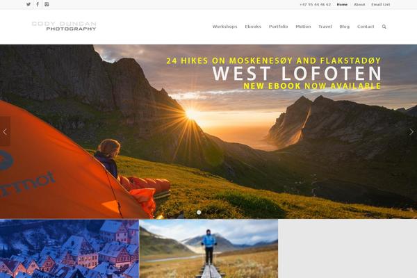 Enfold theme site design template sample