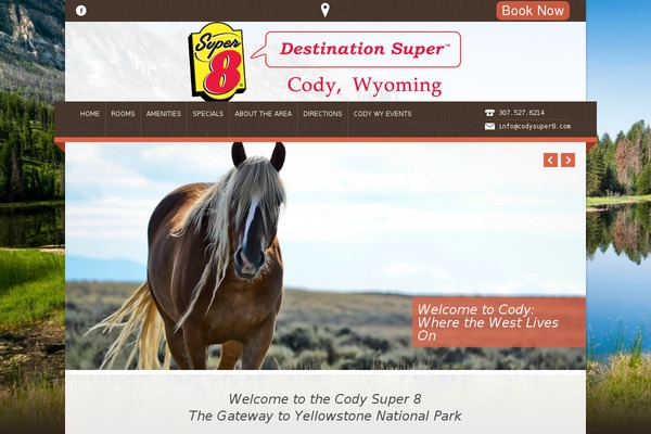 Nice Hotel theme site design template sample