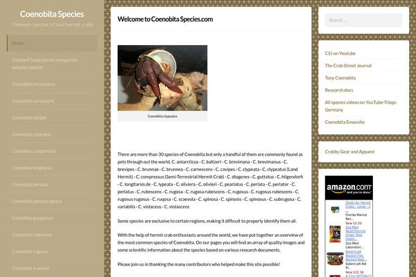 Annina theme site design template sample