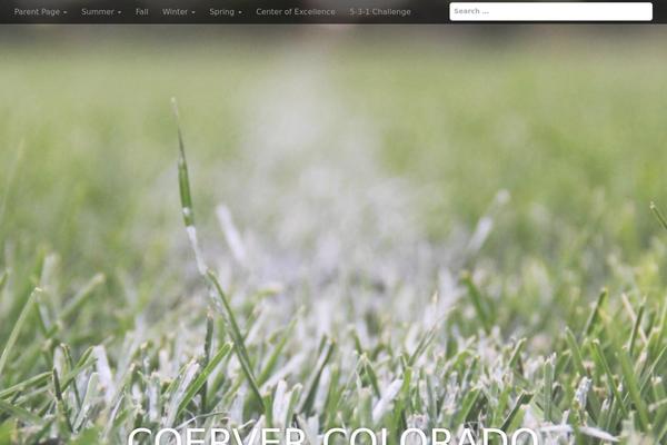Arcade Basic theme site design template sample
