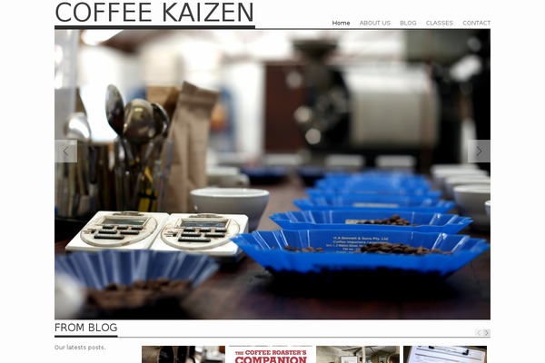 Albedo theme site design template sample