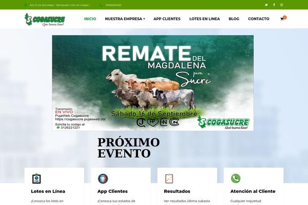 Consultax-child theme site design template sample
