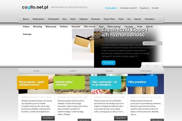 Wp Radiance 1.0.3 theme site design template sample