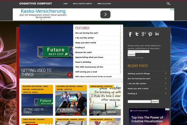 Site using All-in-one-social-lite plugin