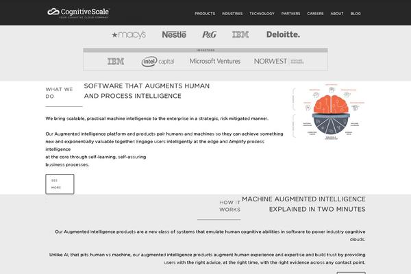 Site using Themify-popup plugin