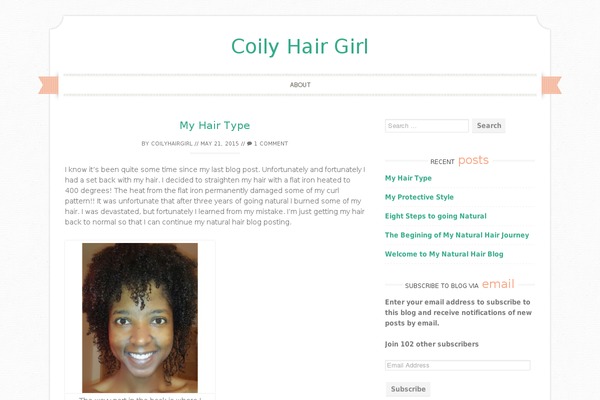 Sugar and Spice theme site design template sample